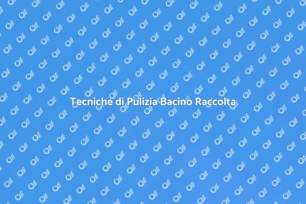 Vantaggi della Pulizia Bacino Raccolta