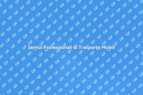 Trasporto e Deposito Mobili Affidabili