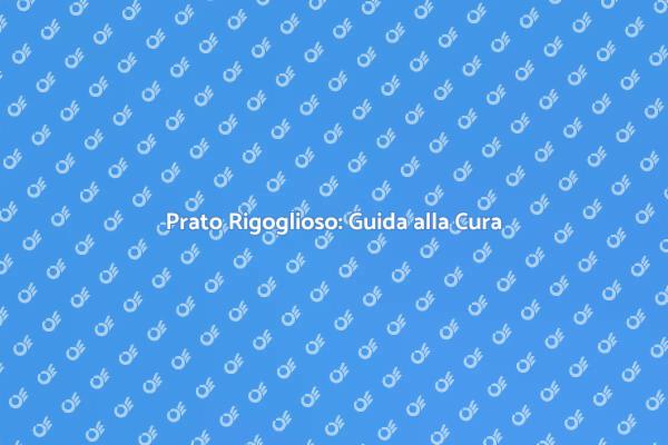 Come Mantenere il Tuo Prato in Salute