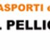 Autotrasporti ed Escavazioni Val Pellice 