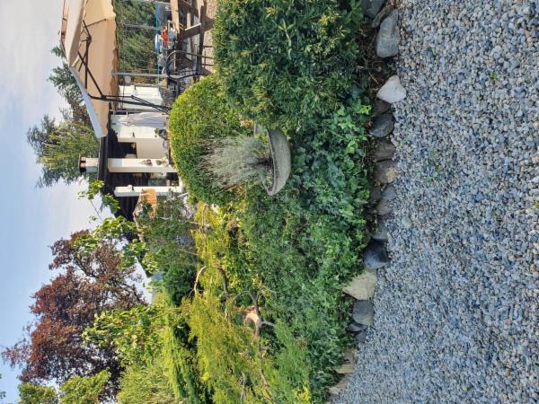 Ditta individuale - Foto 9