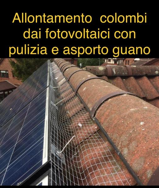 Ecopiakos - Foto 7