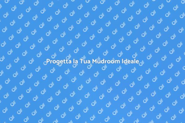 Mudroom: Ordine e Funzionalità in Casa