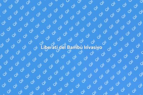 Rimuovere il Bambù: Guida Efficace