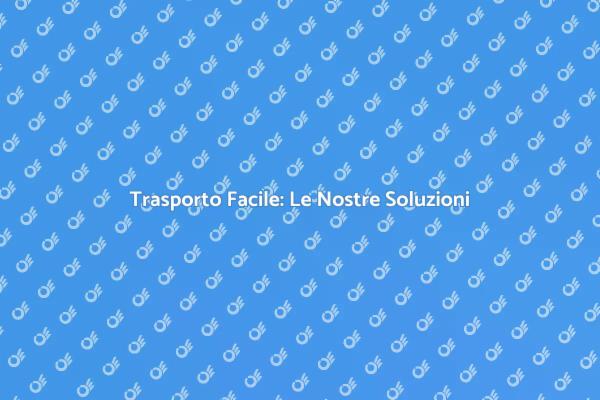 Trasporto Semplice e Veloce con Ernesto