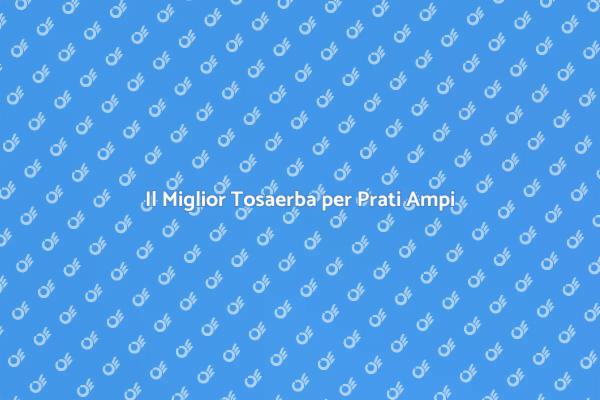 Tosaerba a Benzina: Eccellenza per Prati