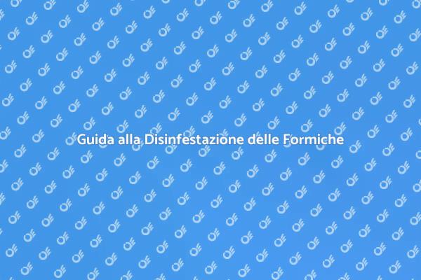 Disinfestazione Efficace delle Formiche