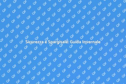 Gestione Rischio Spargisale Invernale