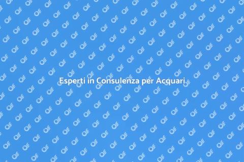 Consulenza per Acquari Professionale