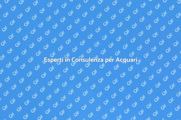 Consulenza Acquari: Arte e Natura