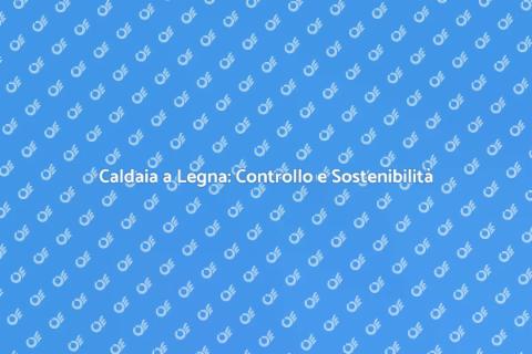 Efficienza Energetica Caldaia a Legna