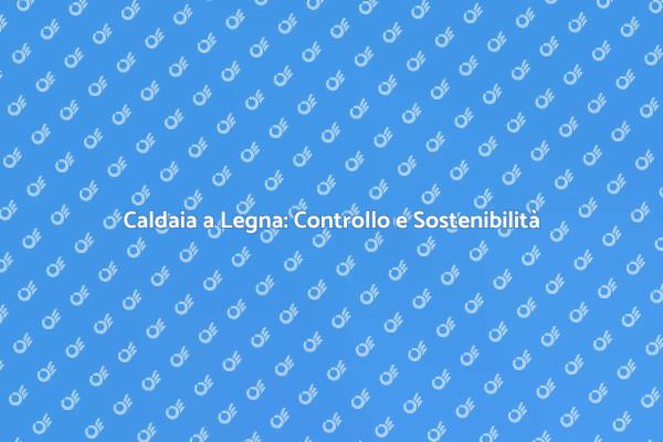 Ottimizza la Tua Caldaia a Legna