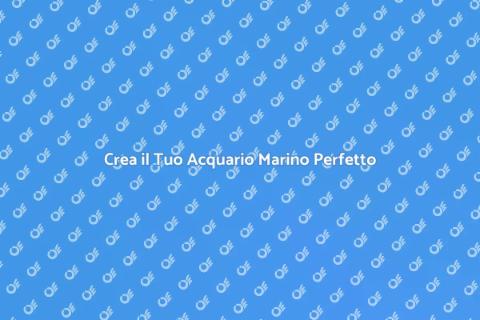 Un Acquario Marino in Casa Tua