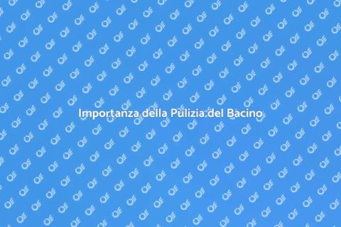 Pulizia Bacino di Raccolta Essenziale