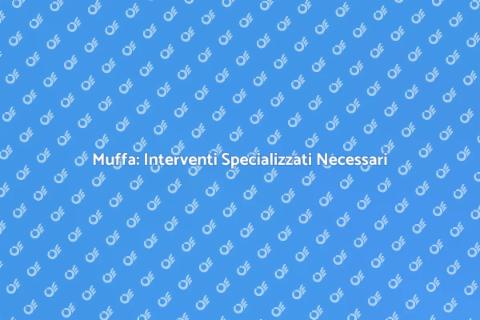 Rimozione Muffa: Controllo Specialistico