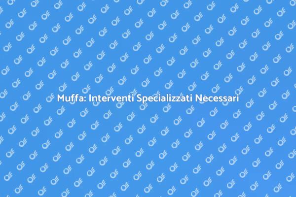 Controllo e Rimozione Muffa Professionale