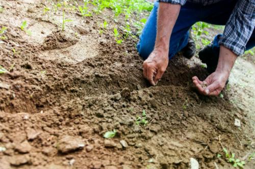 5 consigli per il tuo giardino