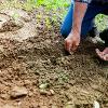 5 consigli per il tuo giardino