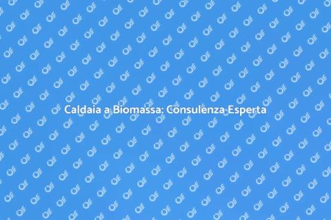 Consulenza Caldaia a Biomassa