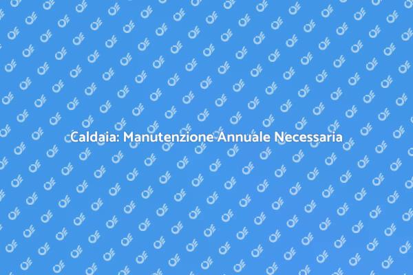 Caldaia: Assicurati del Tuo Comfort