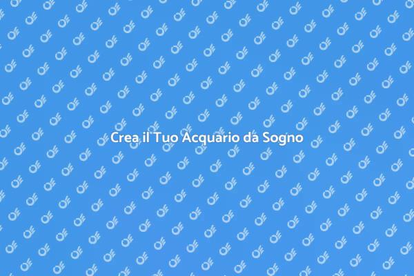 Rendi Unico il Tuo Acquario