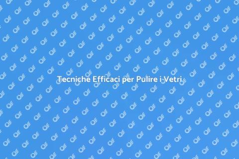 Pulizia dei Vetri delle Finestre