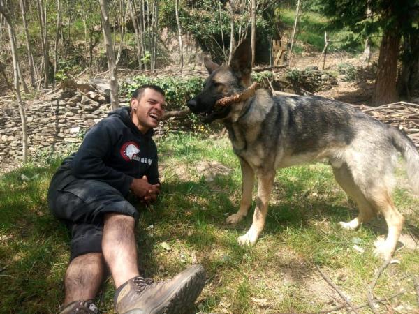 dogsitting, gruppi di dogtrekking e socializzazioni - Foto 15