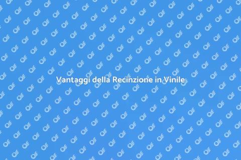 Recinzione in Vinile: Stile e Sicurezza