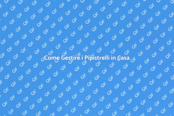 Pipistrelli: Rimozione e Sicurezza Domestica