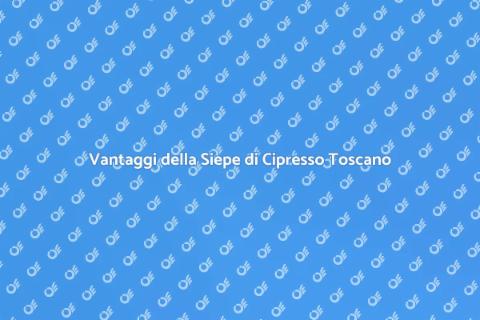 Siepe di Cipresso Toscano: Bellezza