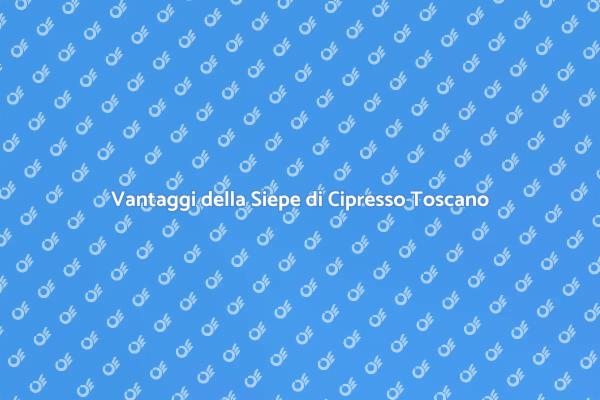 Cipresso Toscano: Icona di Bellezza