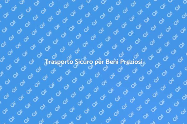 Servizio Professionale di Trasporto Speciale
