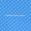 Critica Letteraria: Il Nostro Supporto