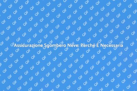Sgombero Neve: Importanza Assicurazione