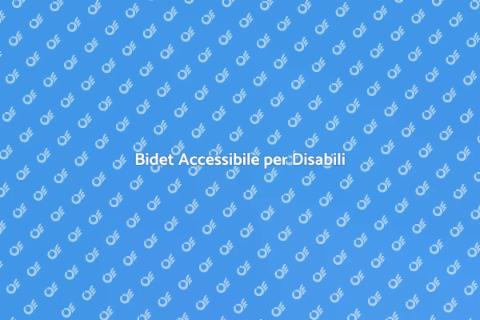 Sostituire un Bidet per Disabili