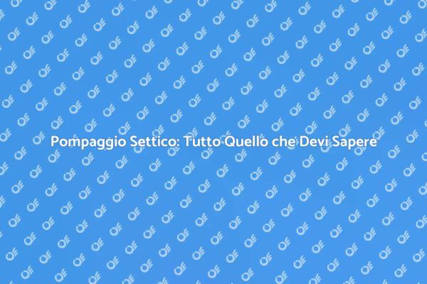 Pompaggio Settico: Essenziale per la Casa