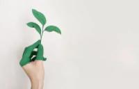 5 semplici mosse per contribuire al miglioramento del nostro ecosistema