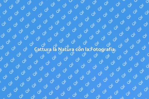 Fotografia Naturalistica: Bellezza Catturata