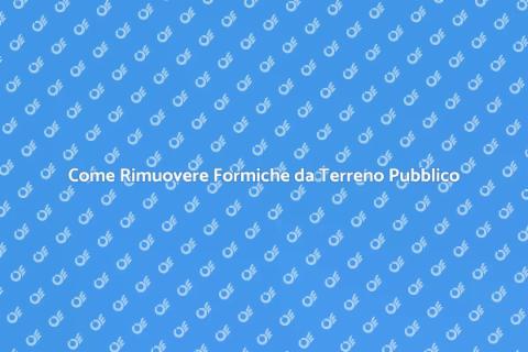 Disinfestare Formiche Terreno Pubblico