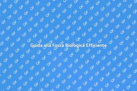 Manutenzione Fossa Biologica Essenziale