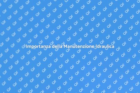 Manutenzione Impianto Idraulico Essenziale