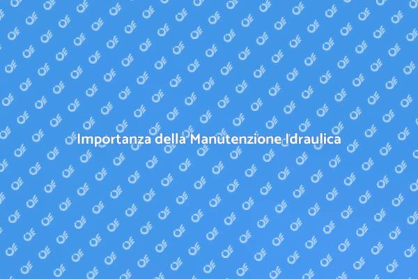 Manutenzione Idraulica: Necessità Fondamentale