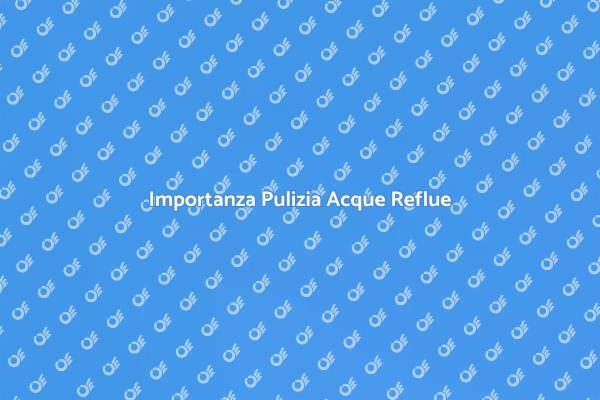 Pulizia Acque Reflue e Sostenibilità