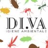 Di.Va. Derattizzazioni e Disinfestazioni 