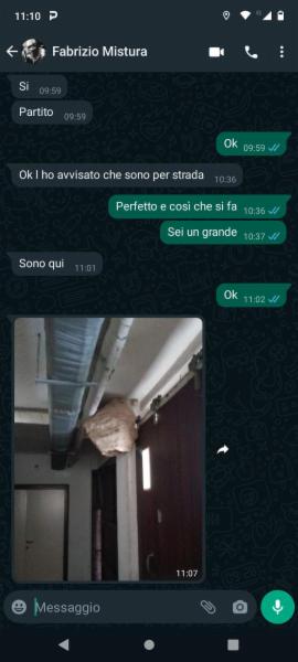 am disinfestazione - Foto 6