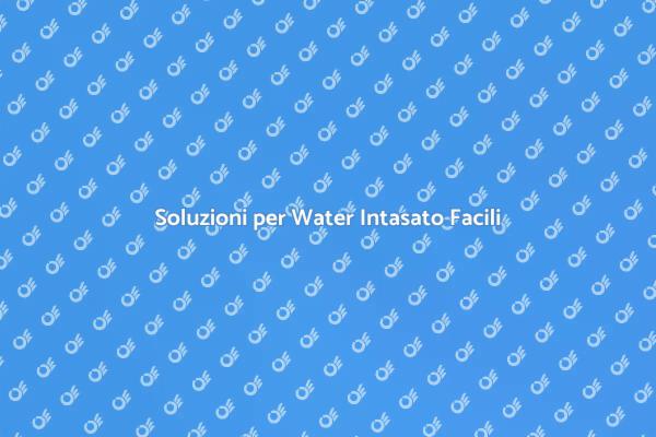 Come Risolvere il Water Intasato