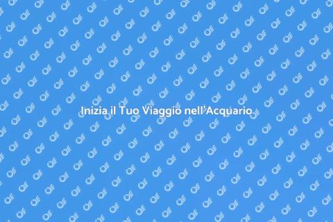 Acquario per Principianti: Guida Completa
