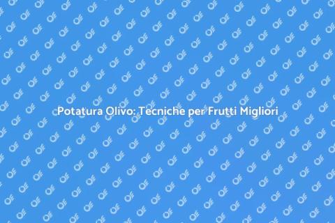 Potatura Olivo: Raccolta Efficiente