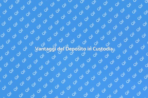 Ottimizza il Tuo Spazio con Custodia