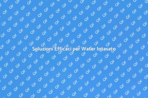 Risolvere il Problema del Water Intasato